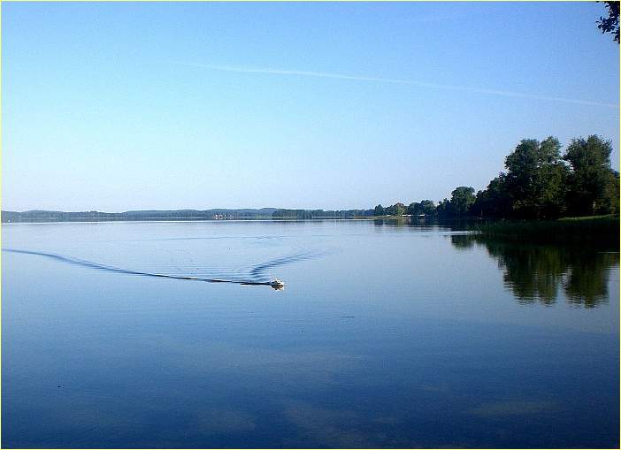 Morgens am See