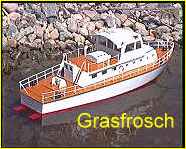 MS-Grasfrosch in Fahrt