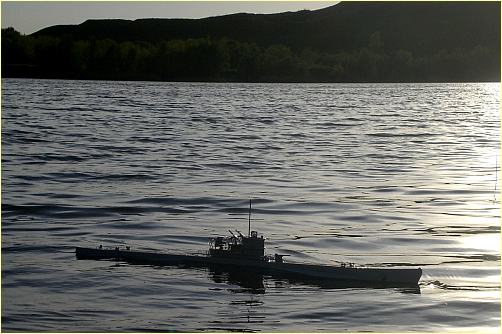 U-110 Teichfrosch